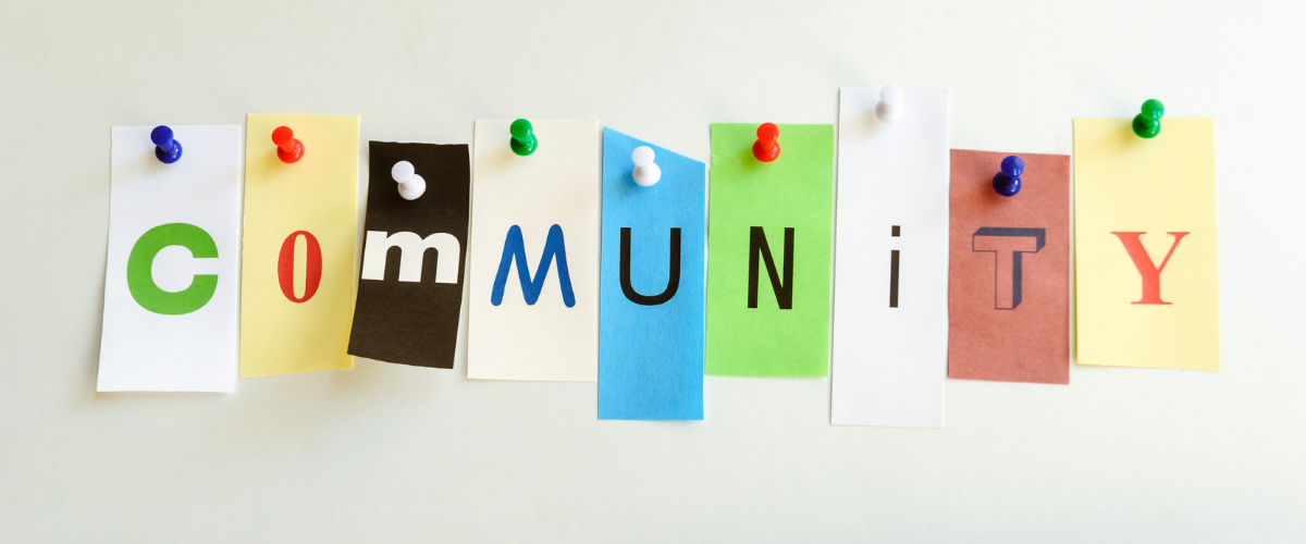 6931f061f2e51_1671091406_Bordered Sunflower Photo Web Banner (5)_521702